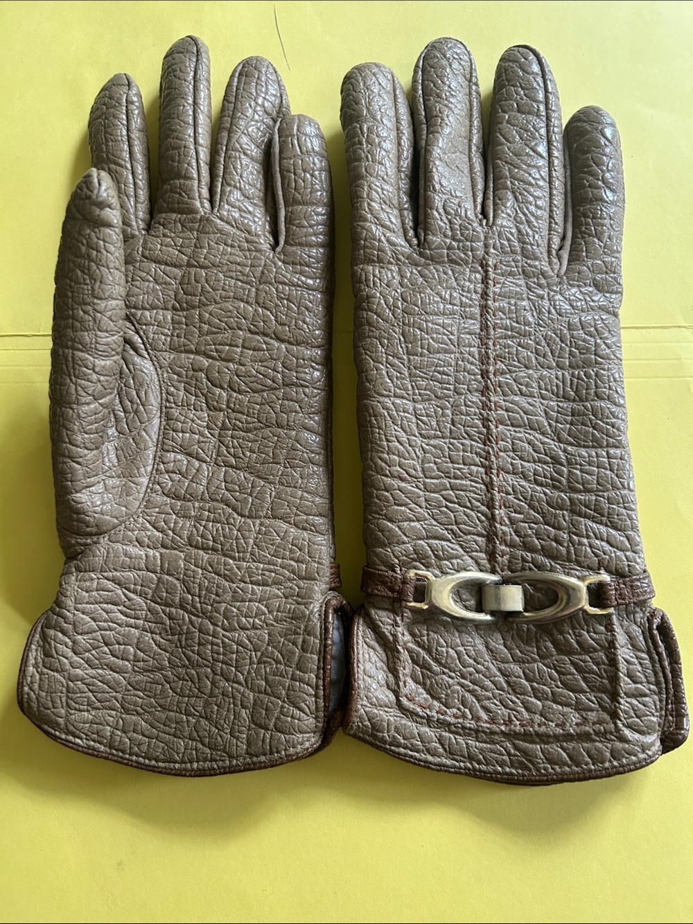 Aris Snuggler Gloves with “Sherpa” lining